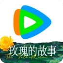辉煌成绩是什么意思